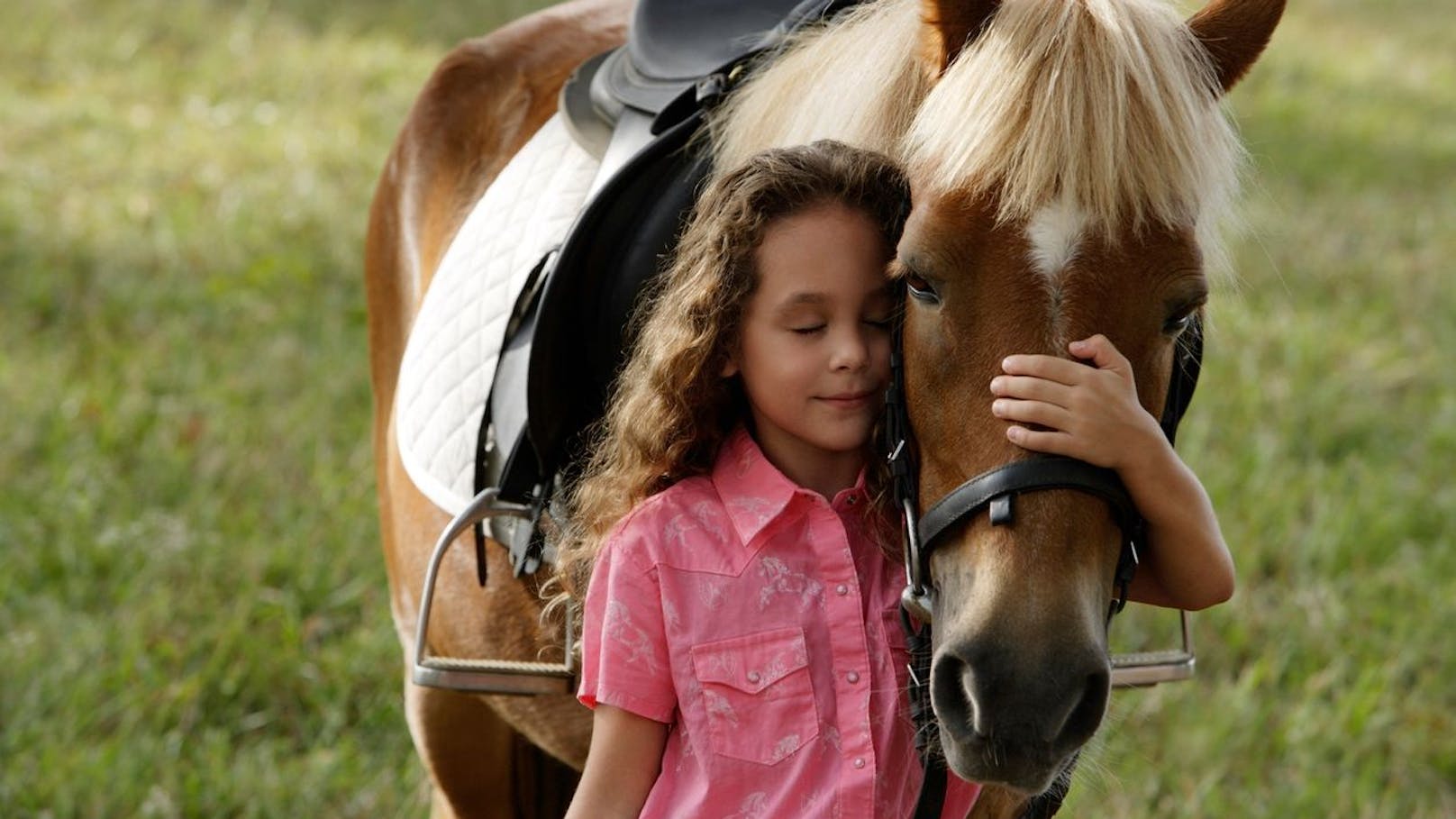 Pferdehaltung ist kein Ponyhof – Hier ein paar Tipps