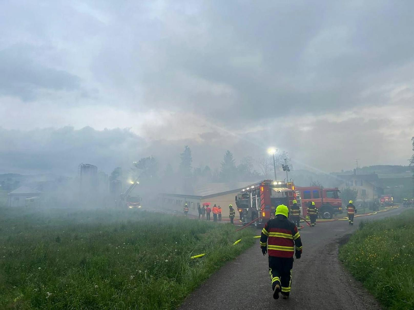 Bei einem Großbrand im Schweinezuchtbetrieb starben 800 Tiere.