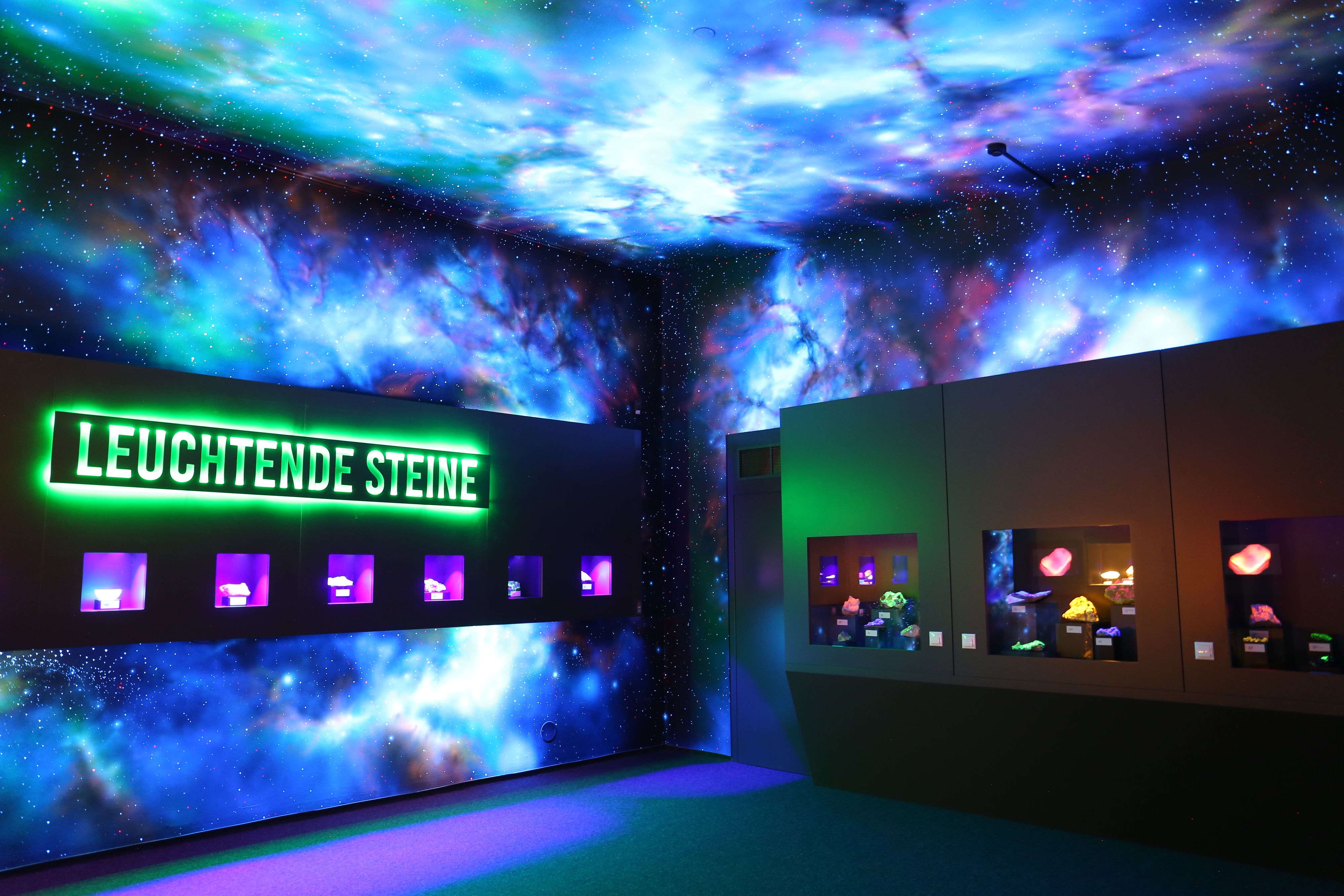 2024_Sonderausstellung FARBWUNDER UND LEUCHTKRAFT 