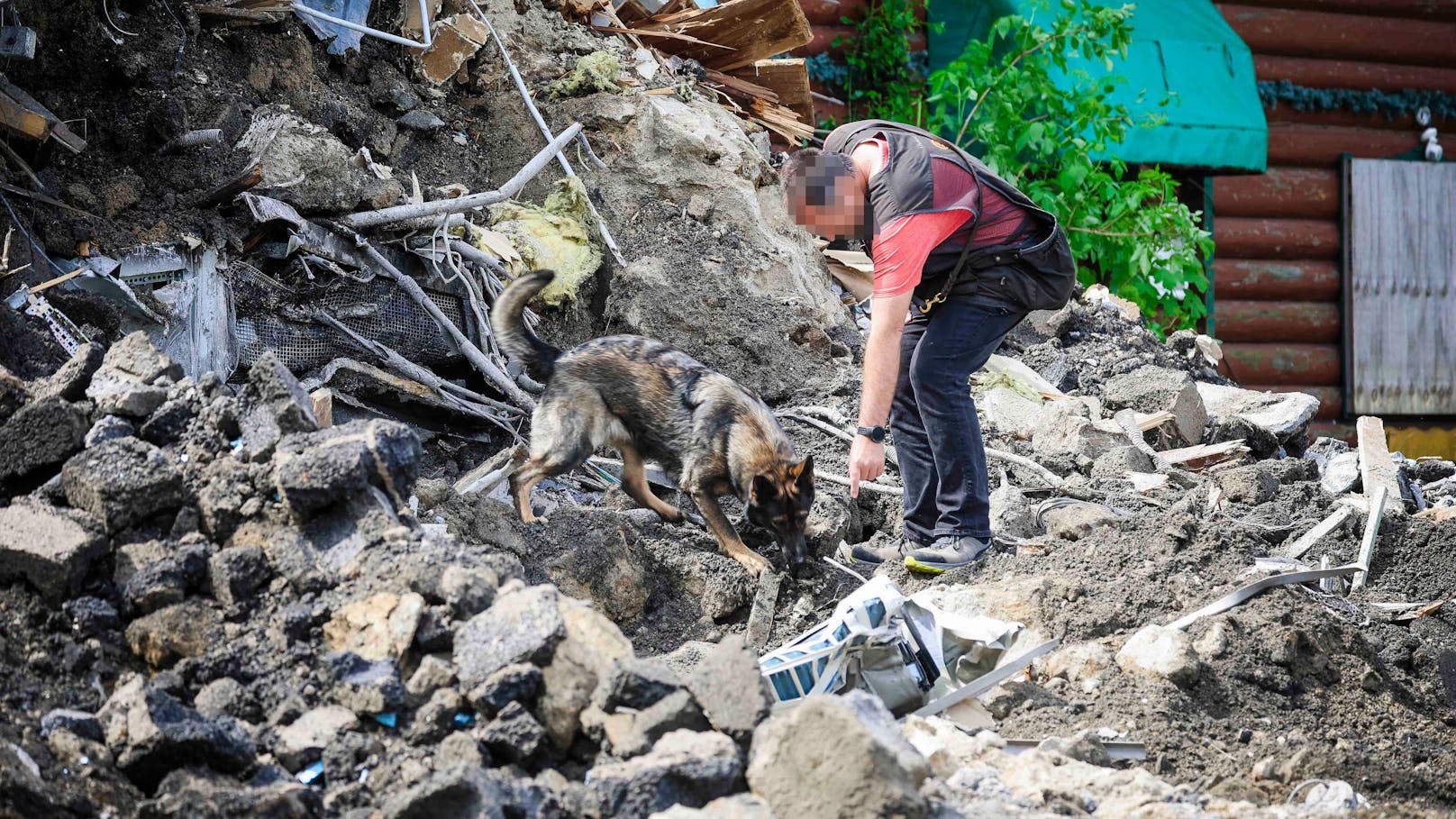 Ein Spürhund auf der Suche nach Sprengstoffen im Trümmerfeld.