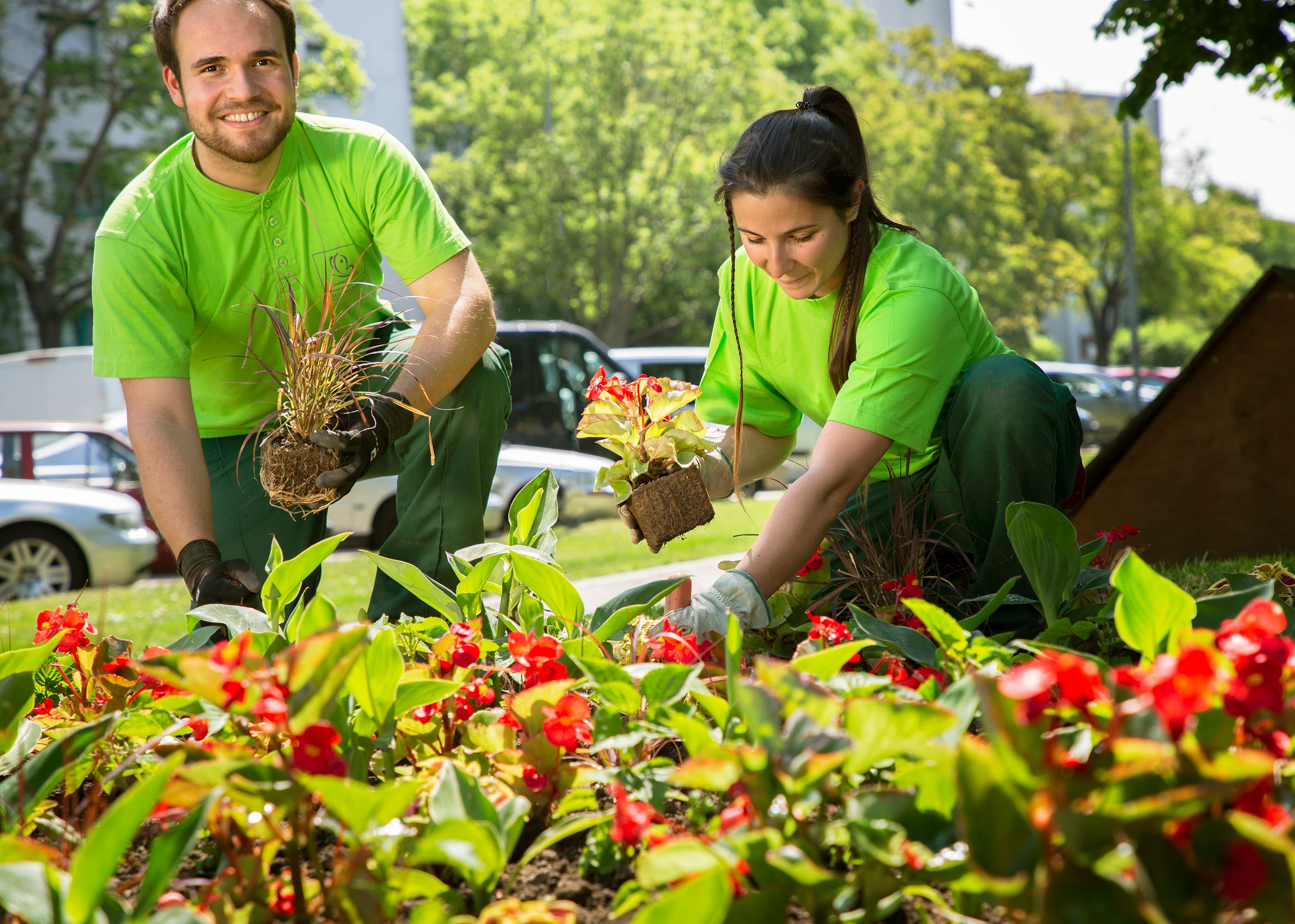 Mit dem Beginn der Sommermonate pflanzen die Wiener Stadtgärtnerinnen und Stadtgärtner die Sommerblumenauswahl des heurigen Jahres in ihren Beeten aus.