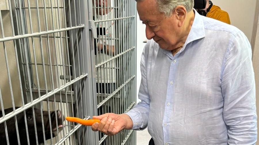 Für Kragenbär "Dimitri" gab es eine Karotte von Richard Lugner.