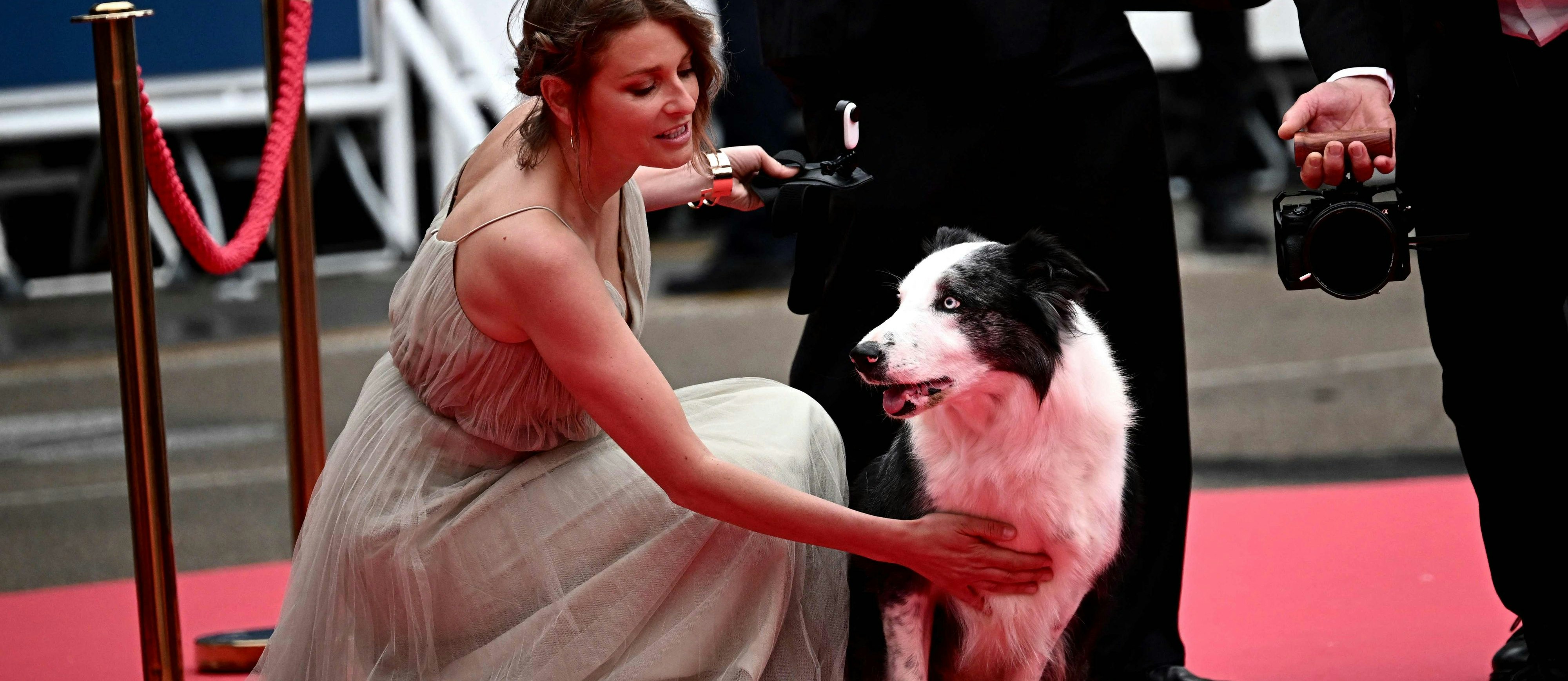 Messi, Star aus dem Film ""Anatomie eines Falls", mit seiner Hundetrainerin Laura Martin am Dienstag bei den Filmfestspielen in Cannes