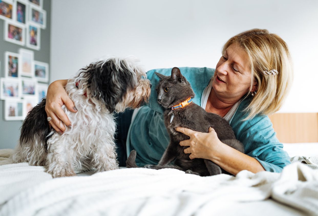 Egal ob Hund und Katz – ihr Leben wird immer länger.