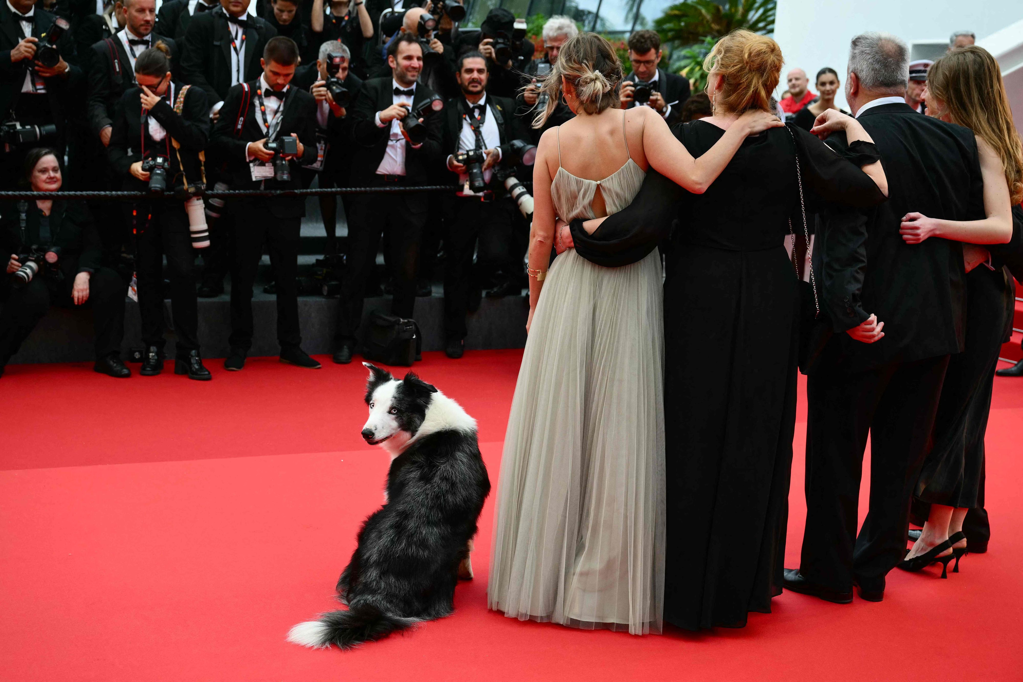 Posen am roten Teppich, das geht schon ganz gut: Messie am Dienstag bei der Eröffnung der Filmfestspiele in Cannes