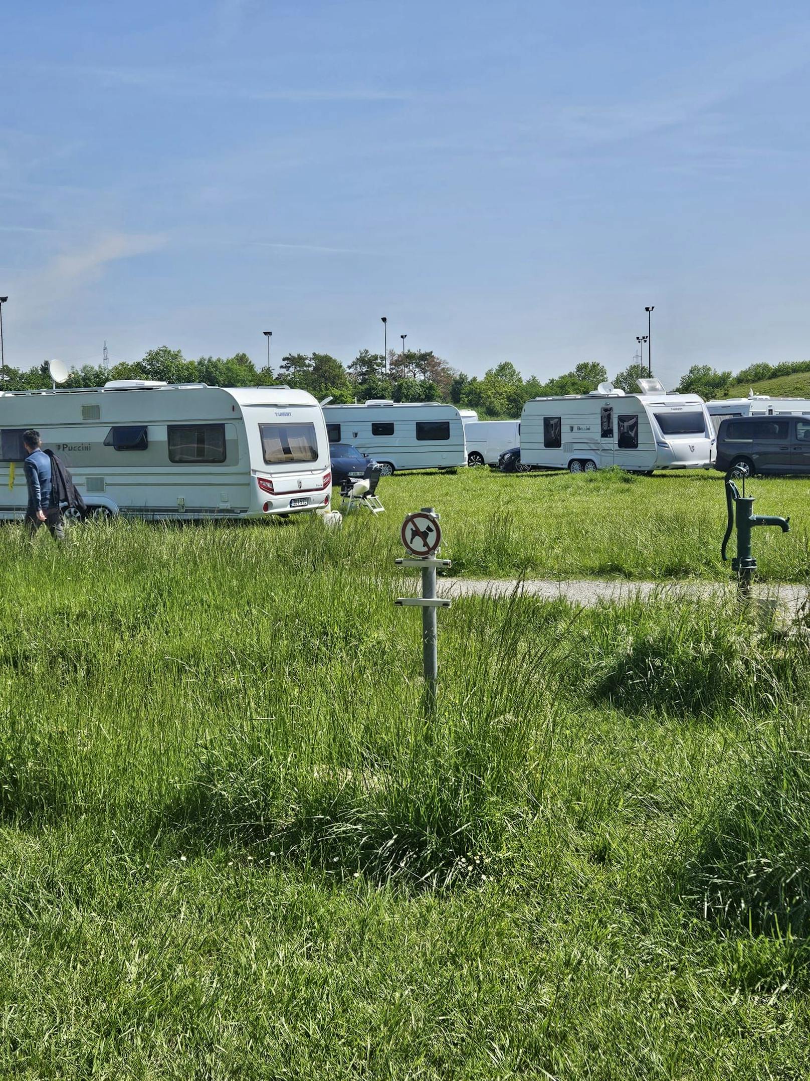 Wirbel um illegale Camper auf geschützter Zieselwiese