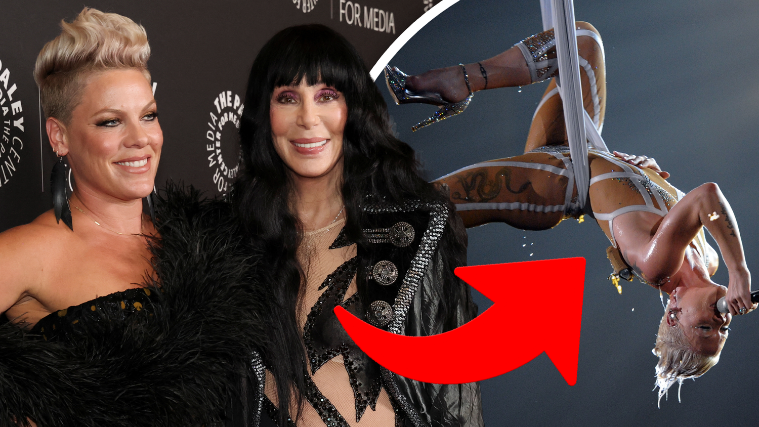 Cher findet Pink nicht zu nackt.