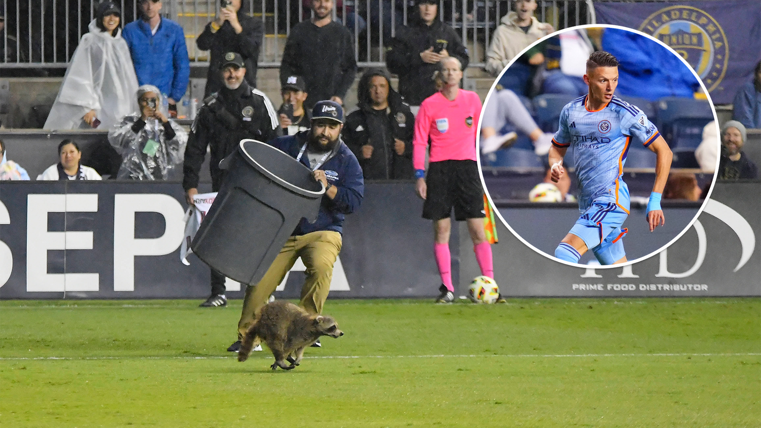 Ein Waschbär sorgte beim Spiel von Hannes Wolf für eine Unterbrechung.