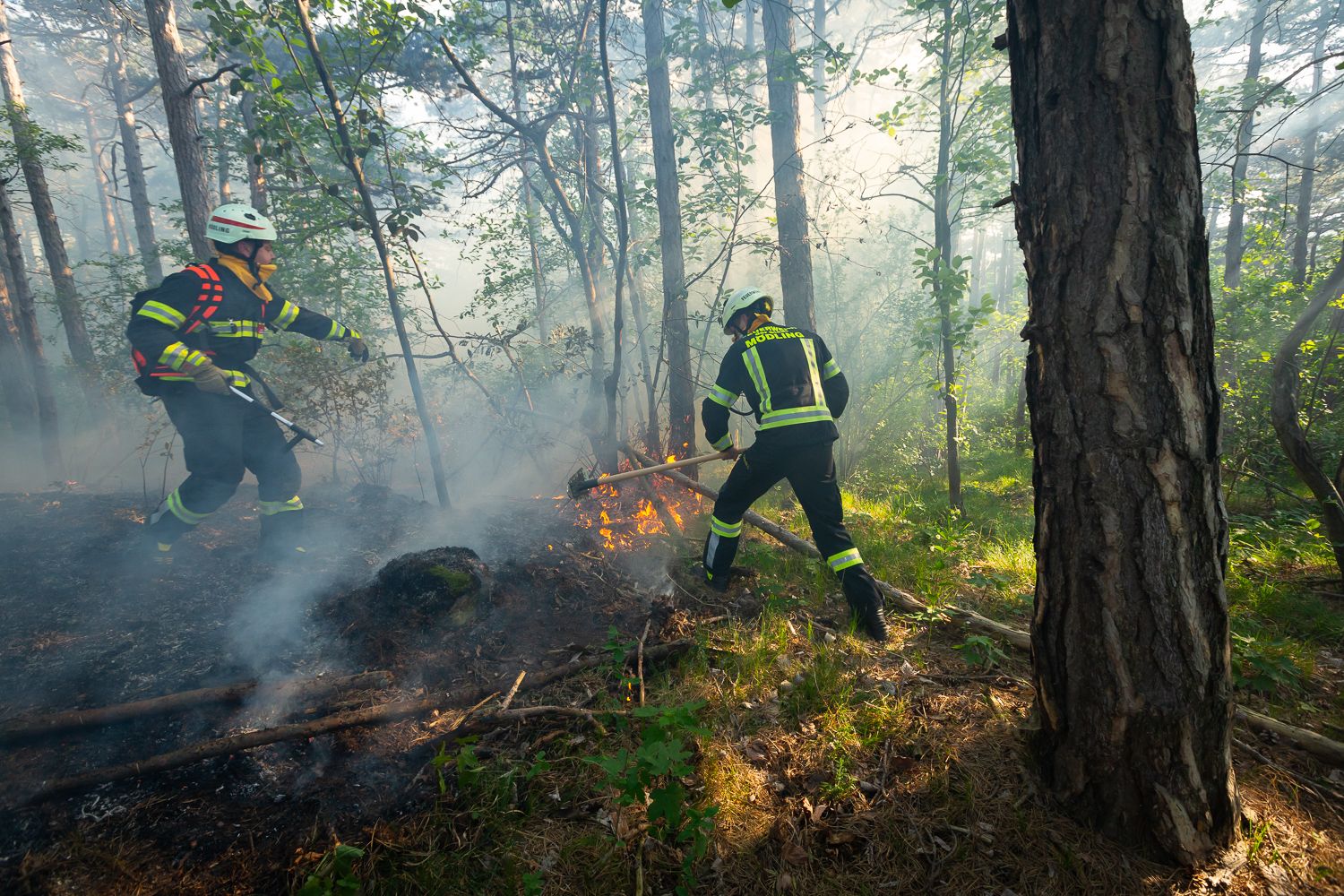 Waldbrand: Die Feuerwehr im Löscheinsatz