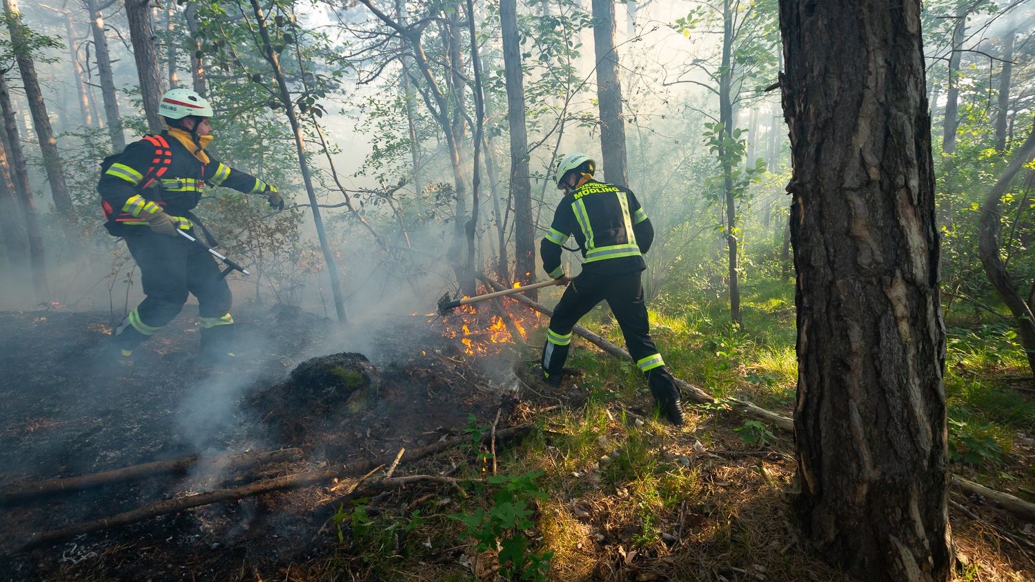Waldbrand: Die Feuerwehr im Löscheinsatz