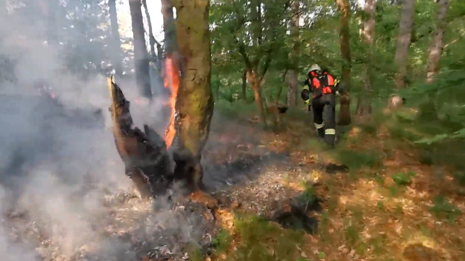 Lagerfeuer löste Waldbrand in Mödling aus