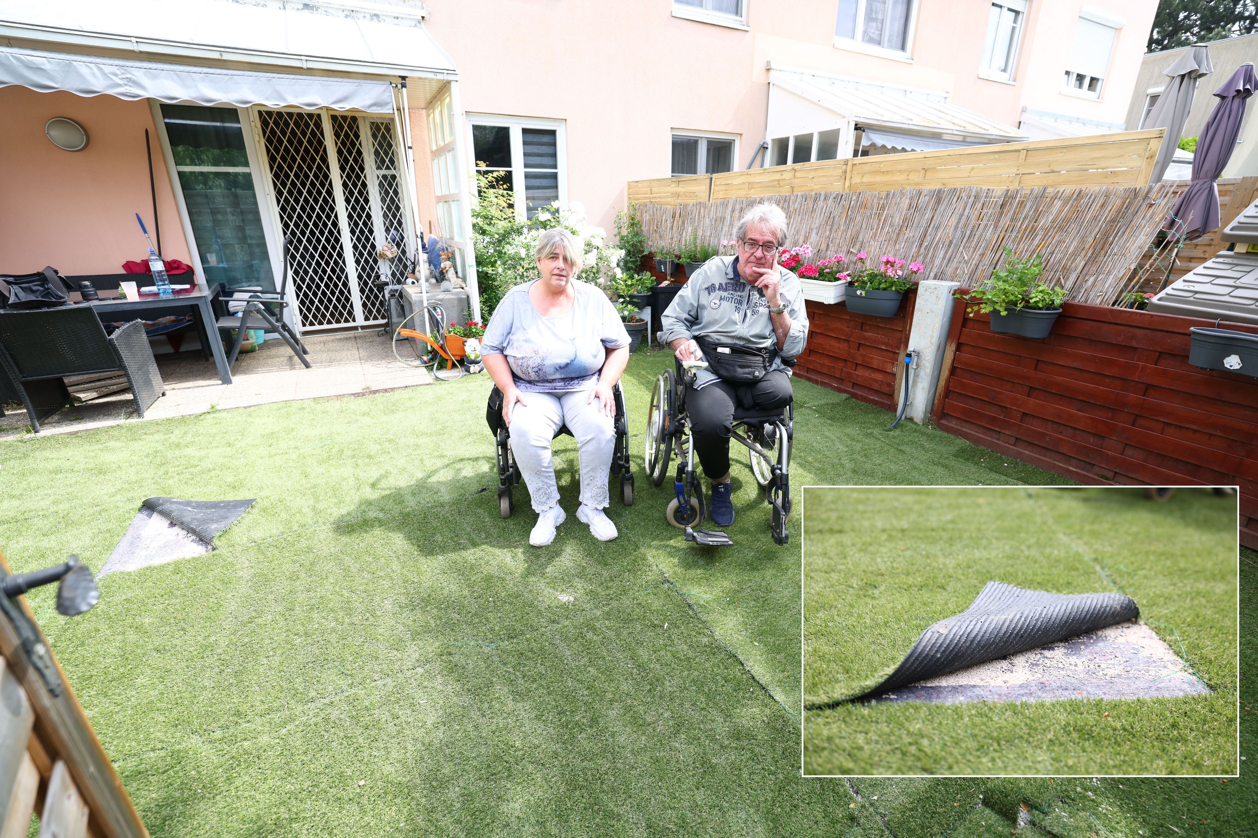 Sabine und Ludwig B. ärgern sich über den unprofessionell verlegten Rollrasen.