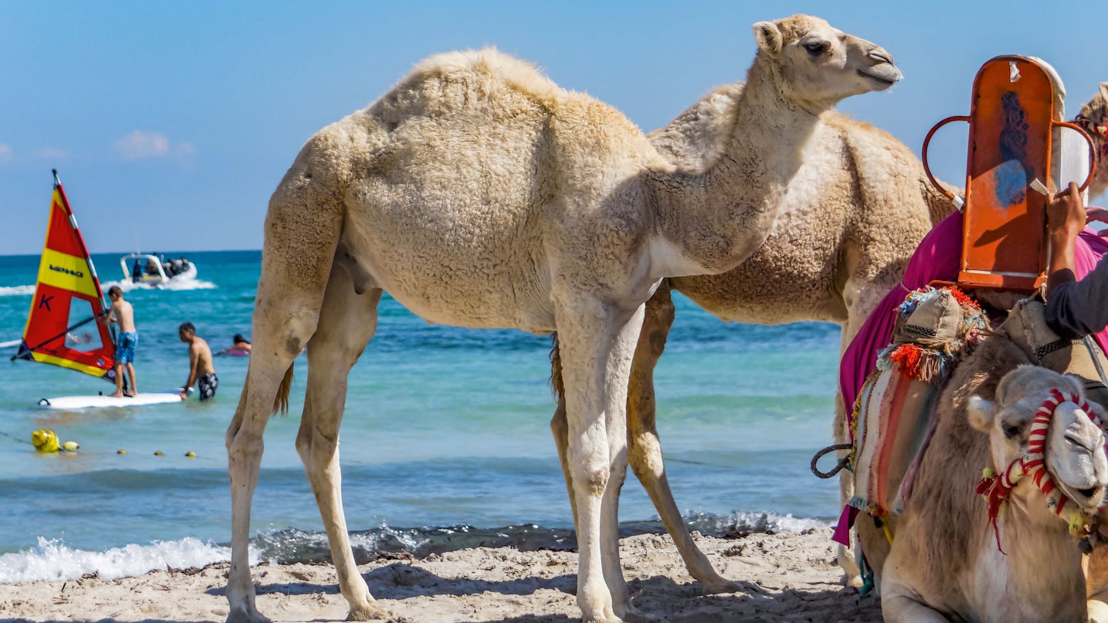 Aldiana Club Djerba in Tunesien