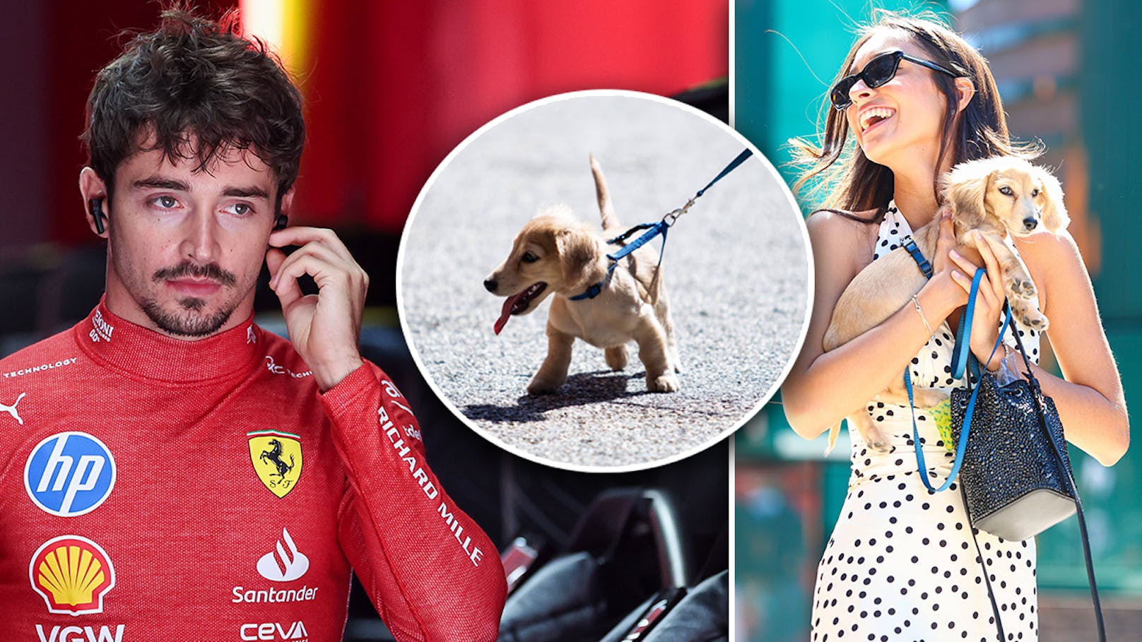 Hunde-Doping! Leclerc mit süßem Vierbeiner bei F1