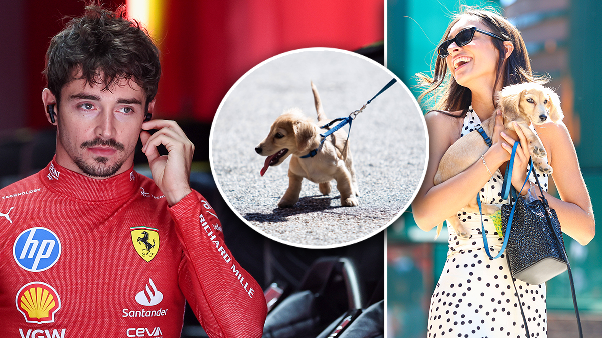 Familie Leclerc in Imola: Ferrari-Star Charles, Hundewelpe Leo und Freundin Alexandra