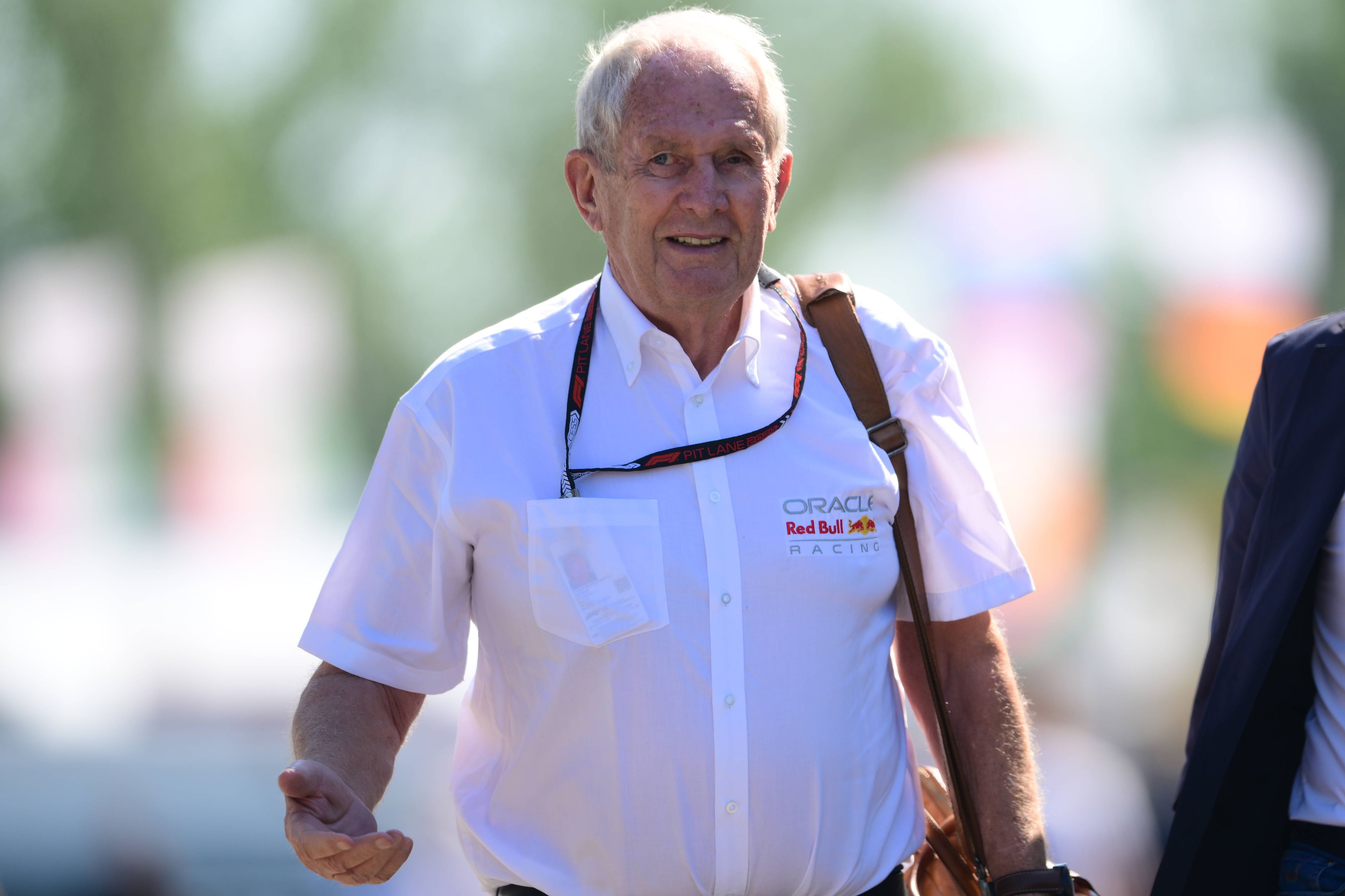 Red-Bull-Motorsportkonsulent Helmut Marko. 