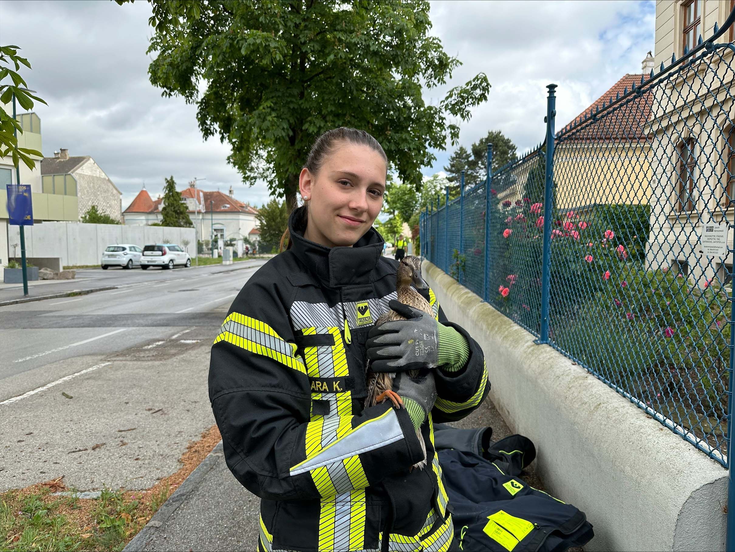 Die FF Herzogenburg wurde am Pfingstwochenende zu einer Tierrettung und einem Brand auf die S33 gerufen.