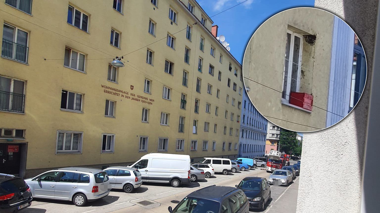 Der Imker der Wiener Berufsfeuerwehr hatte am Montag alle Hände voll zu tun.