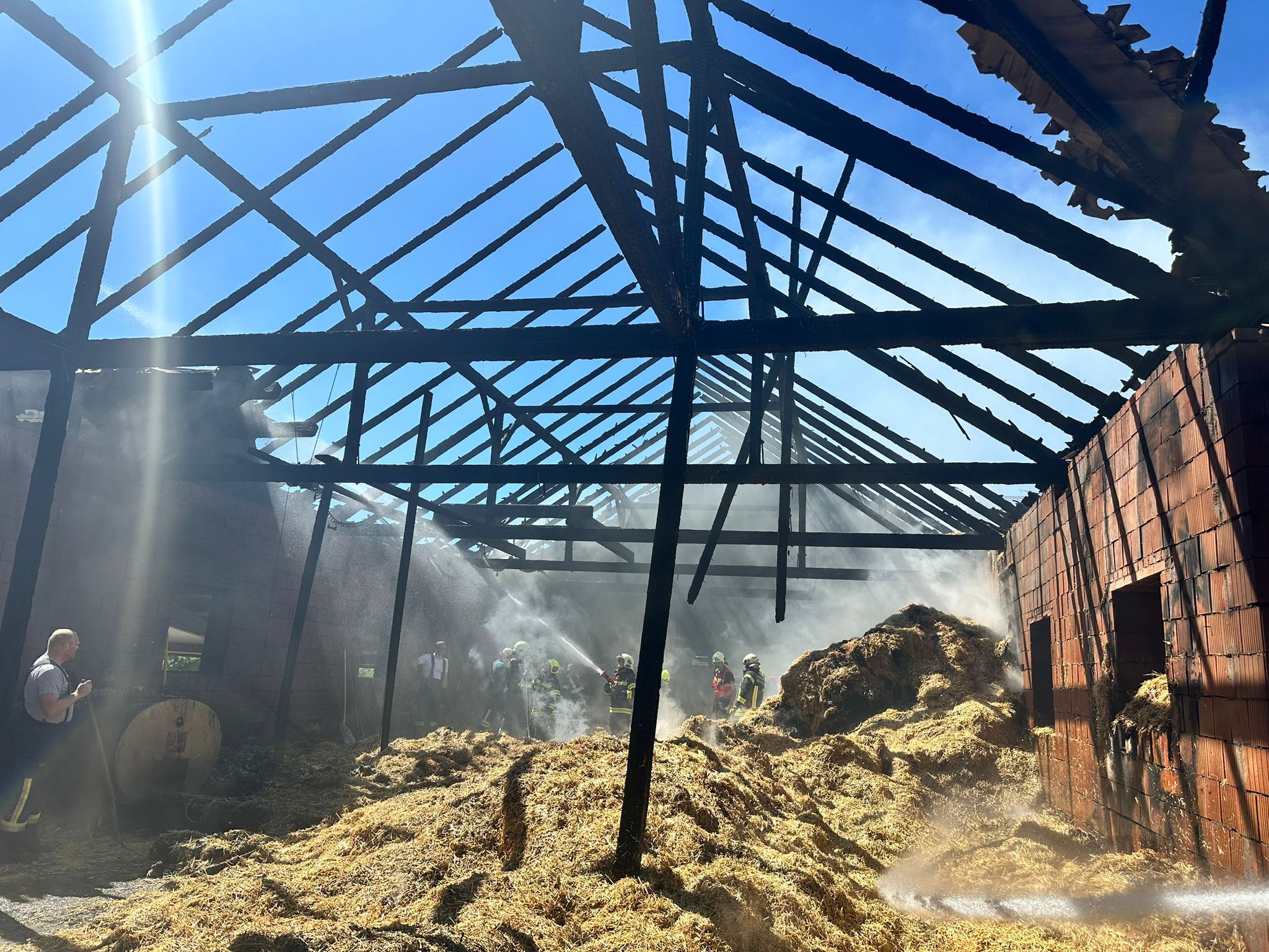 Feuerwehr rettet bei Brand 120 Kühe