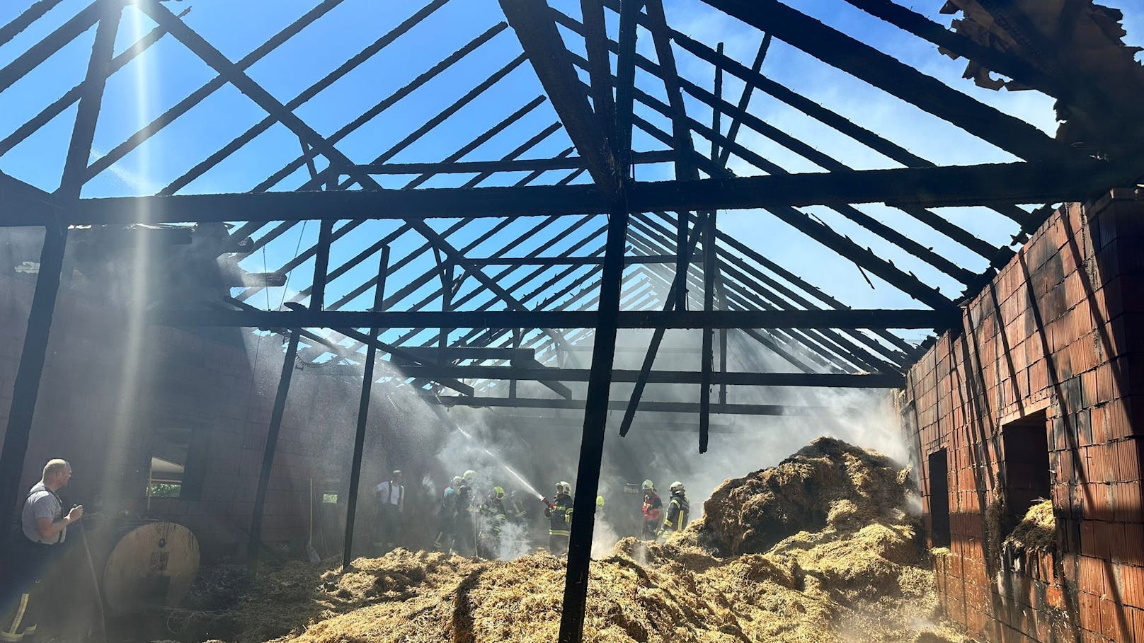 Bauernhof in Flammen – Feuerwehr rettet 120 Milchkühe