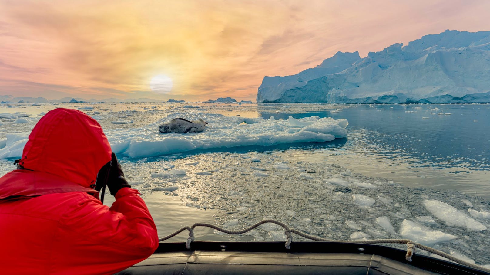 Zunehmender Antarktis-Tourismus gefährdet Naturparadies