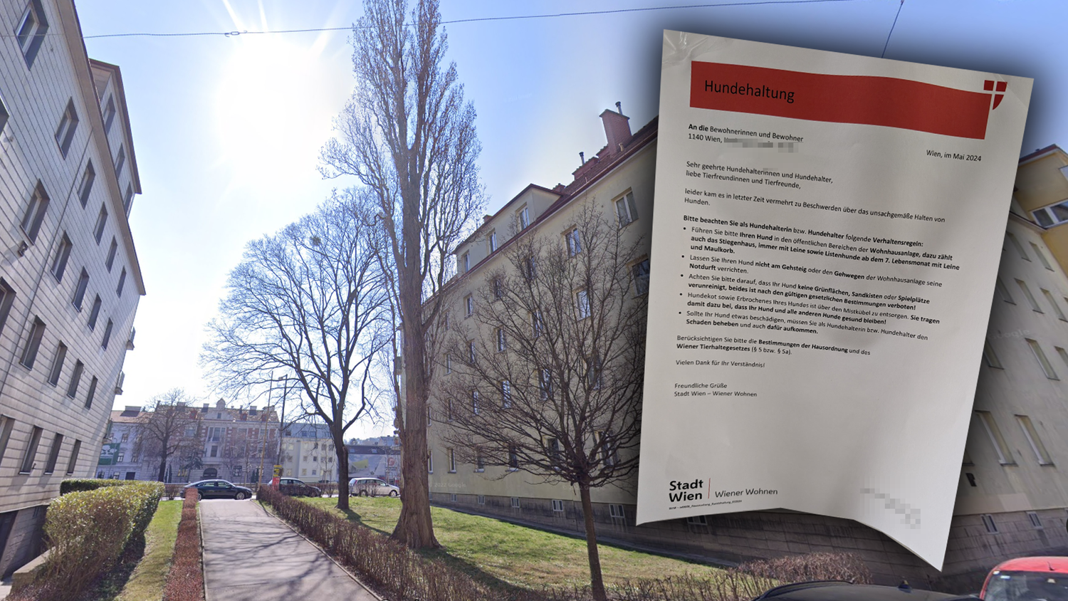 Hunde in diesem Gemeindebau dürfen ihr Geschäft in der Umgebung nicht verrichten.