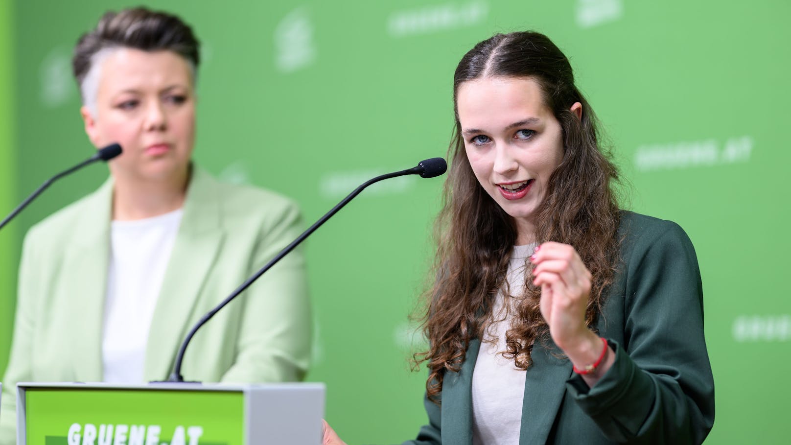 "Silberstein-Methode" – Grüne geben der SPÖ die Schuld