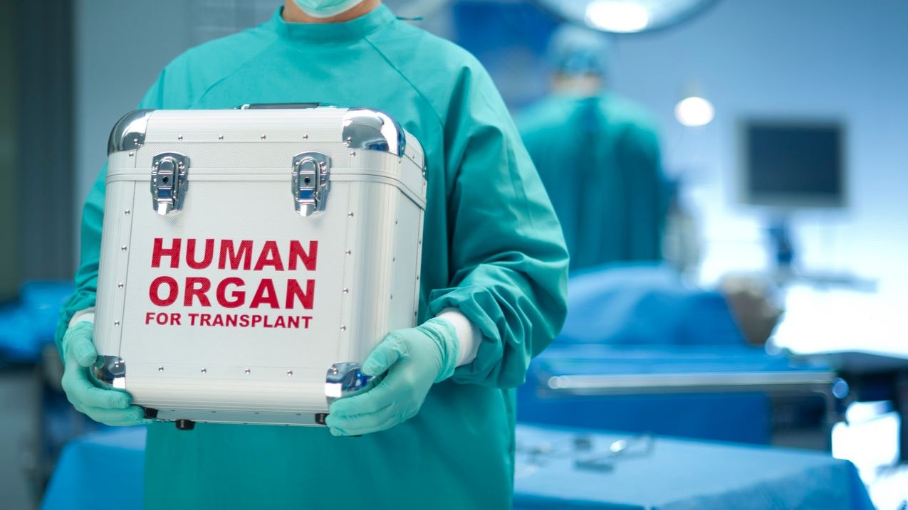 surgeon with his fresh delivery