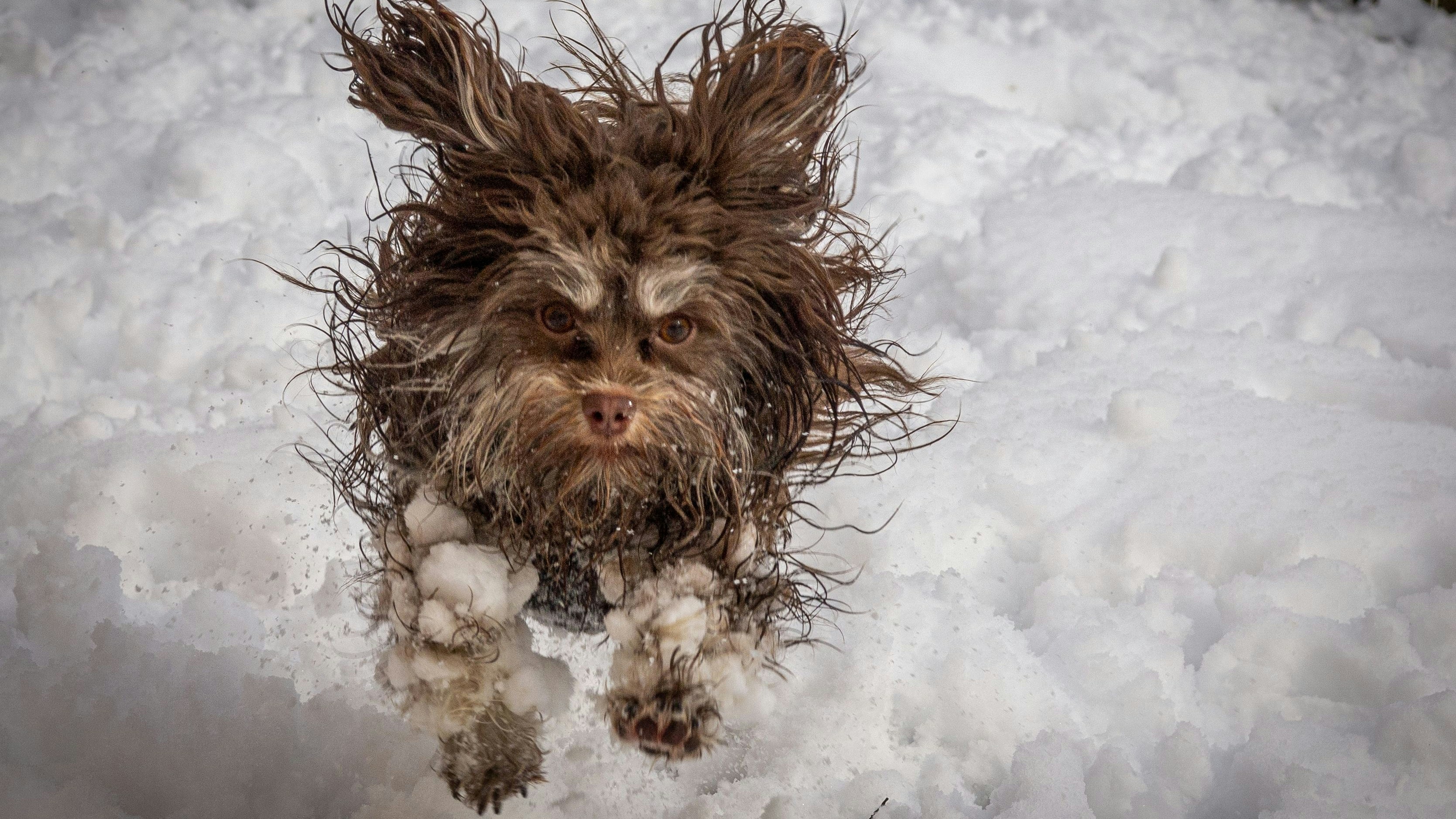 Tammo Zelle, Deutschland, Titel: It's fu.... cold!