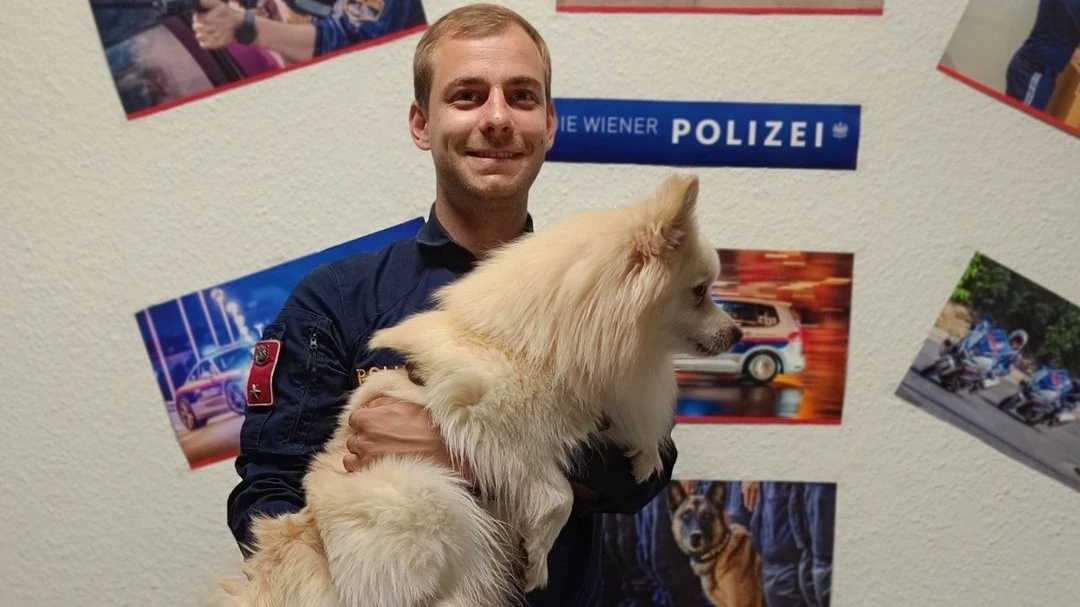 Rocky wurde vor einem Supermarkt gefunden. Die Polizei half ihm. 