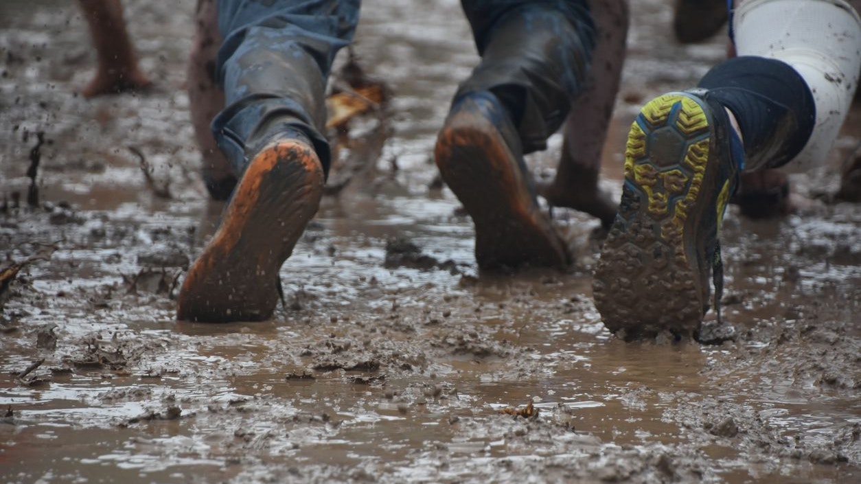 Heute.at - Mann schreit 1,5 Stunden lang in Sumpf um Hilfe