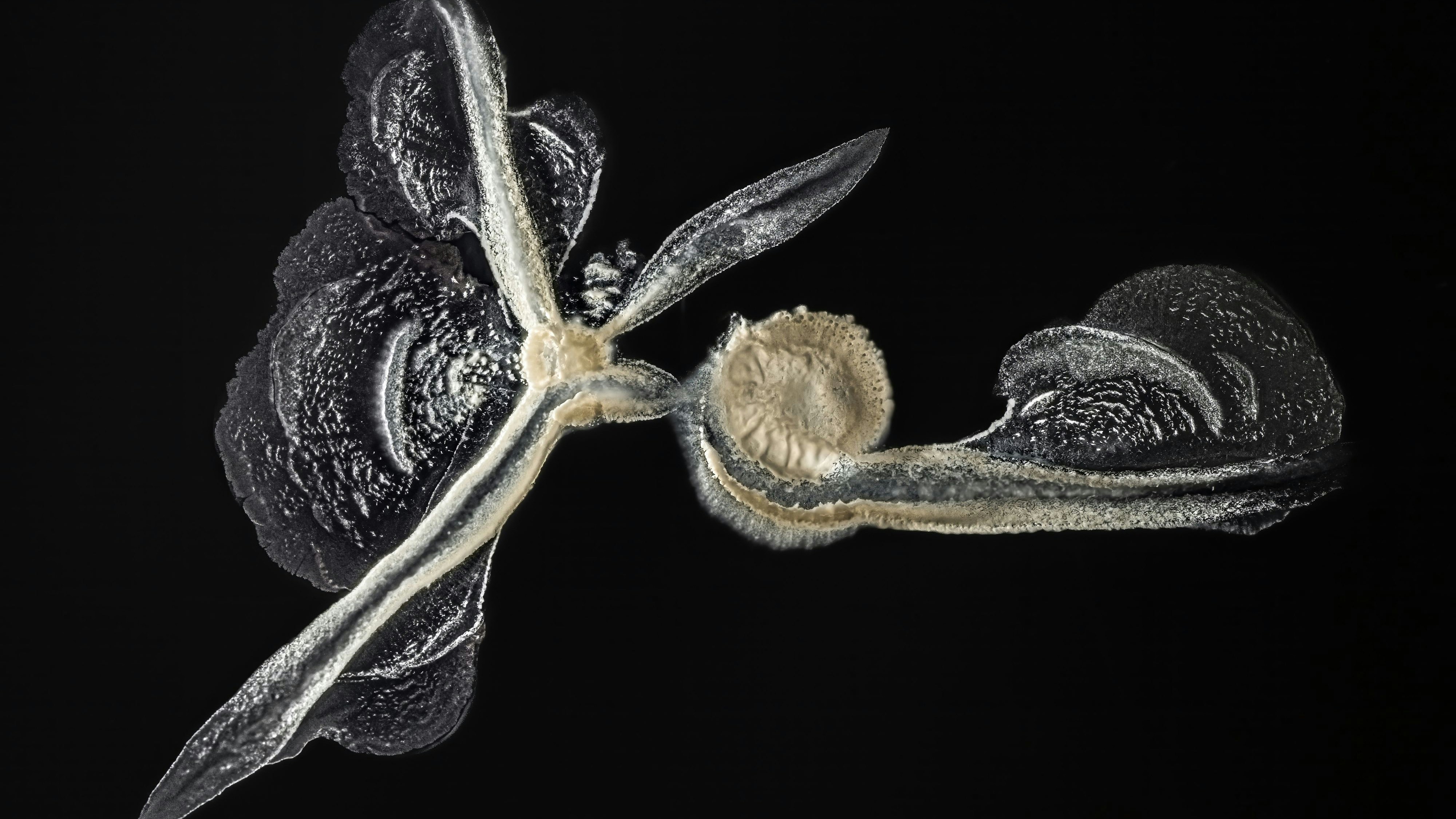 Ausstellung noch bis 1. Juni