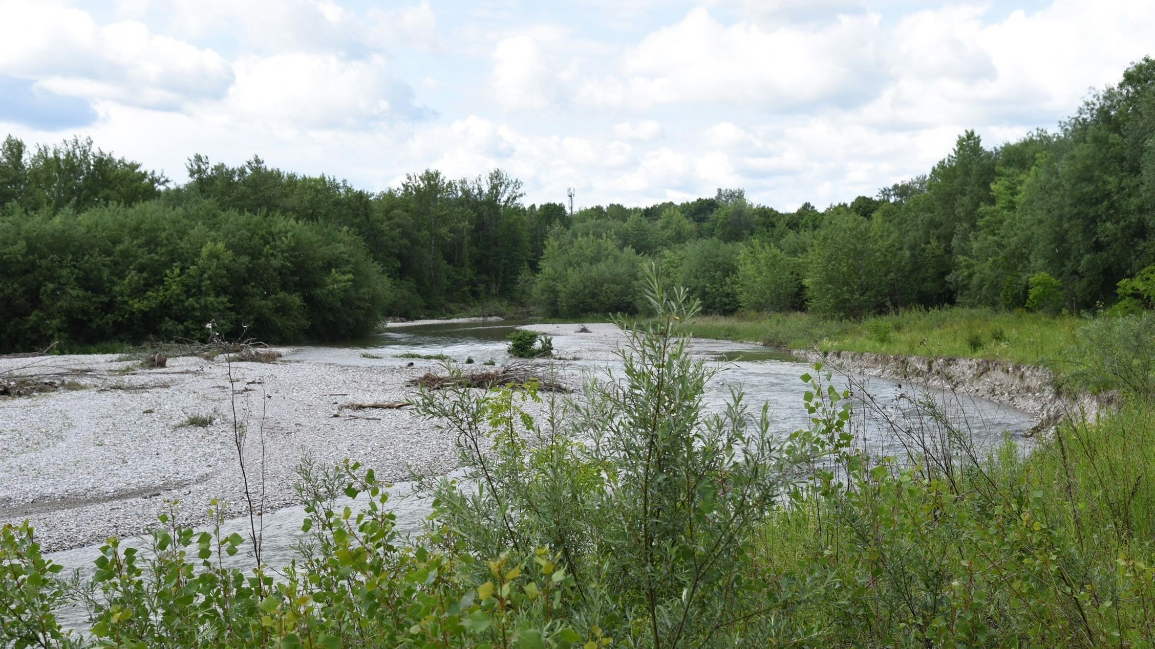 Frauenleiche in der Schwarza gefunden