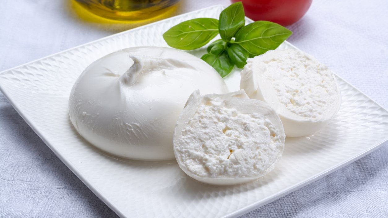 Fresh soft white burrata, ball buttery cheese, made from a mix of mozzarella and ricotta cream, original from Apulia region, Italy, very popular soft cheese in USA