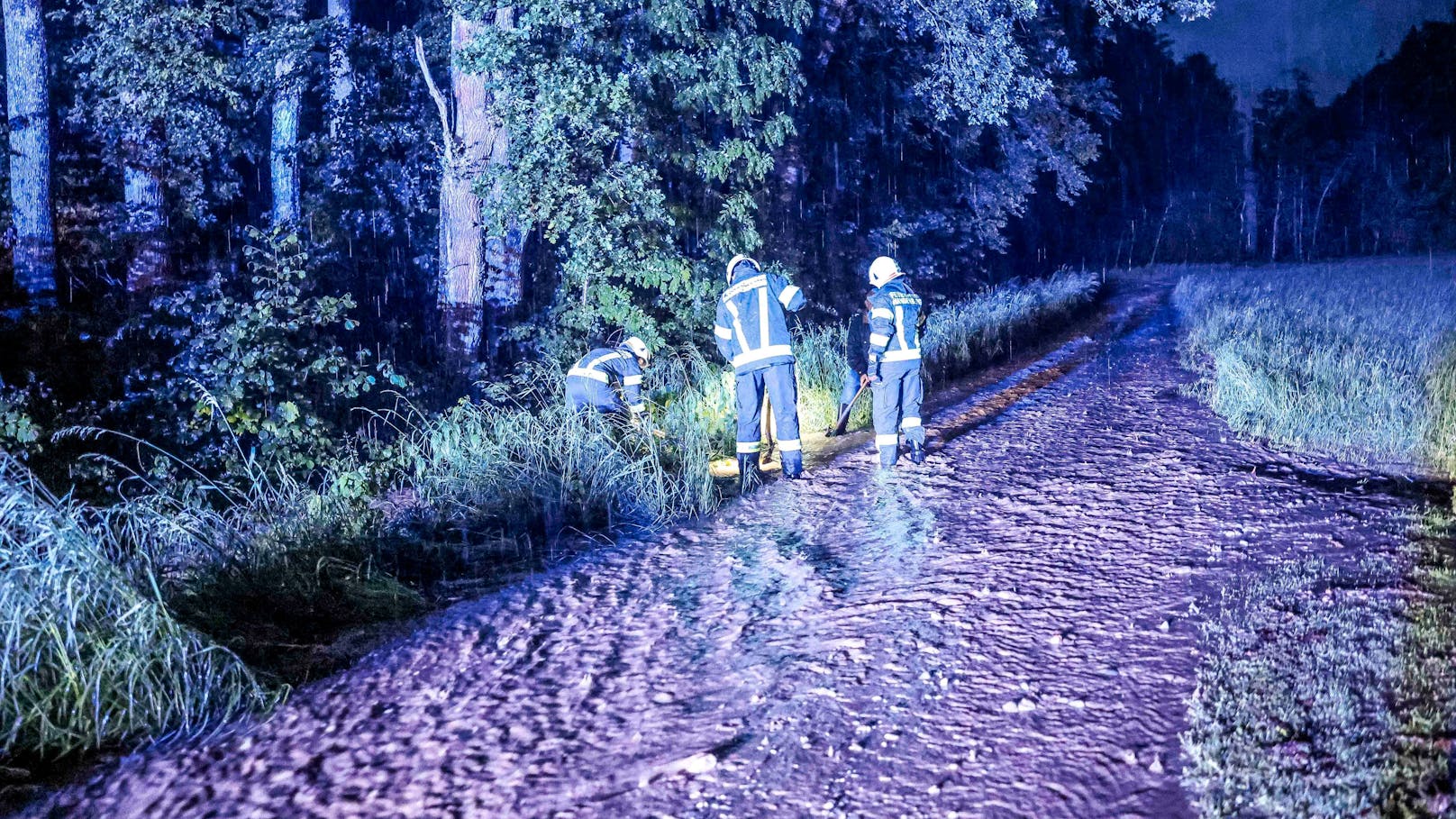 Kräftige Regenschauer haben Donnerstagabend und in der Nacht auf Freitag für gleich mehrere Einsätze in Oberösterreich gesorgt.