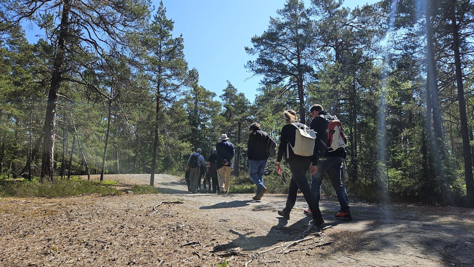 Bei einem Ausflug in den Nationalpark Tyresta erlangte die OÖ-Delegation Einblicke in eine der schönsten unberührten Waldlandschaften Schwedens.