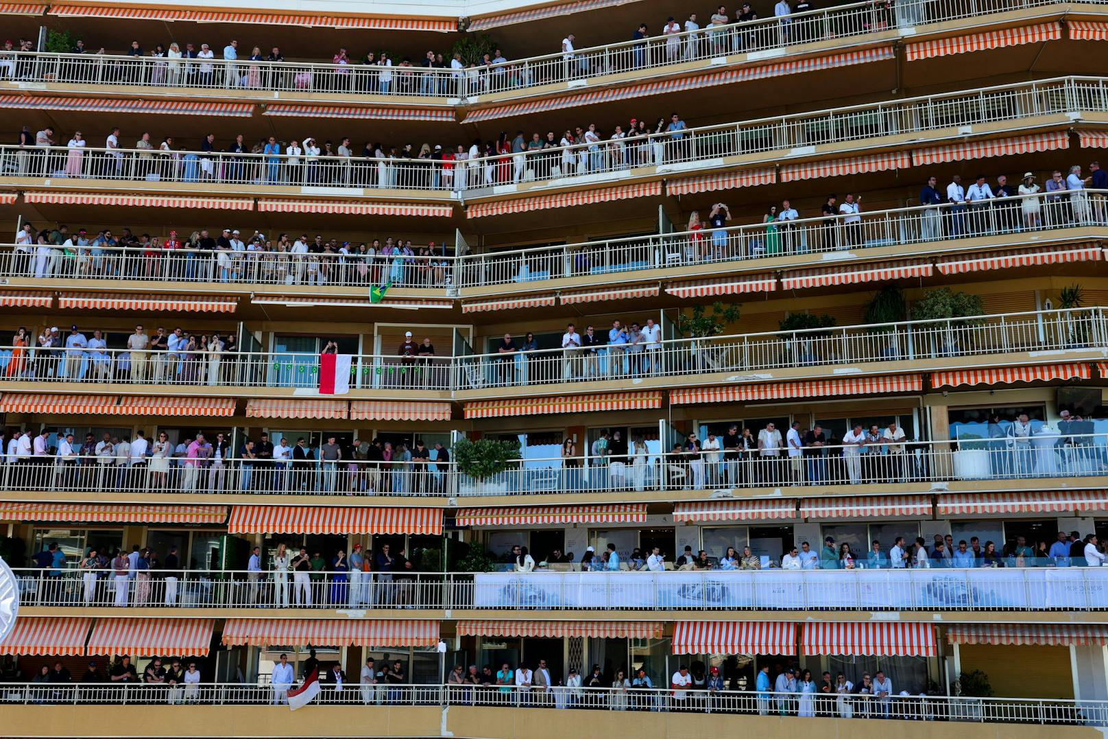 Diese VIPs genießen eine besondere Aussicht.