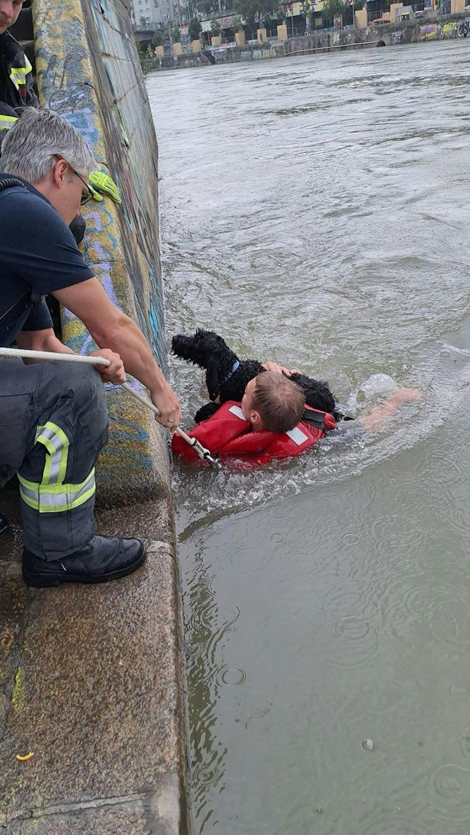 Hund im Donaukanal! Feuerwehr-Mann springt ins Wasser