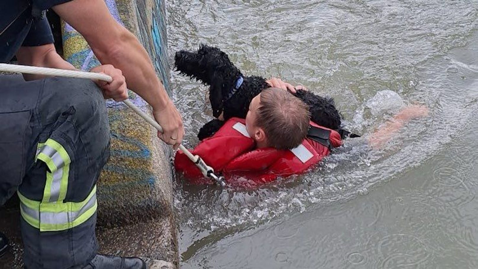 Hund im Donaukanal! Feuerwehr-Mann springt ins Wasser