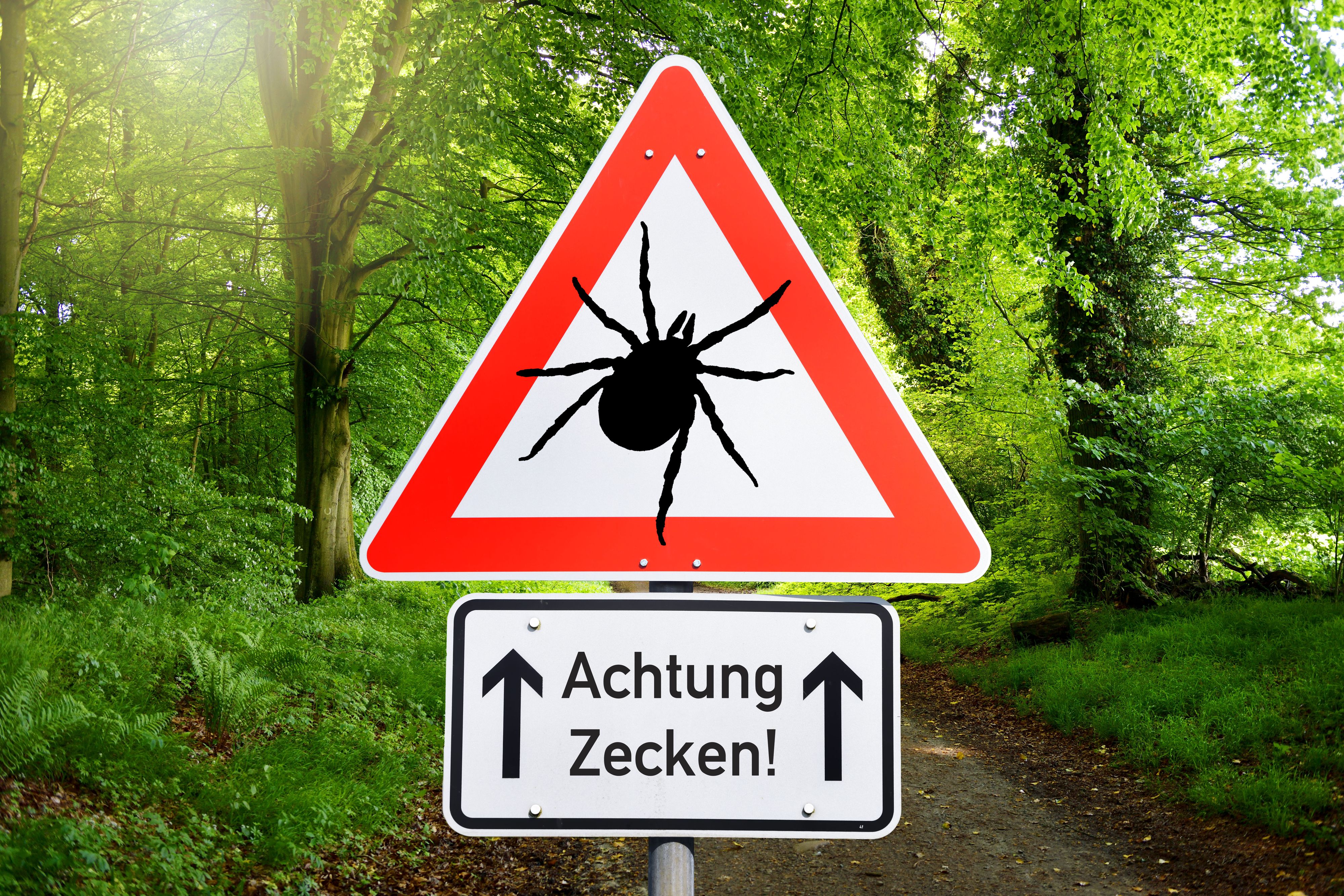 Besonders Pensionisten seien durch Zeckenstiche gefährdet.