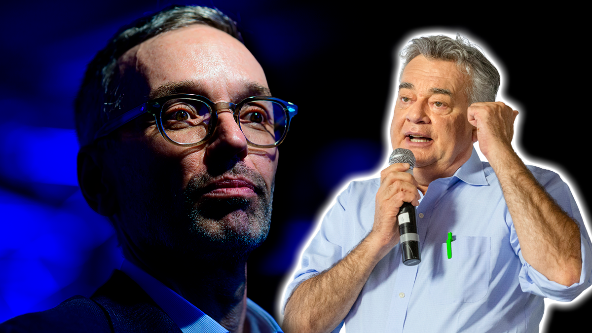 Herbert Kickl und die FPÖ würden das 