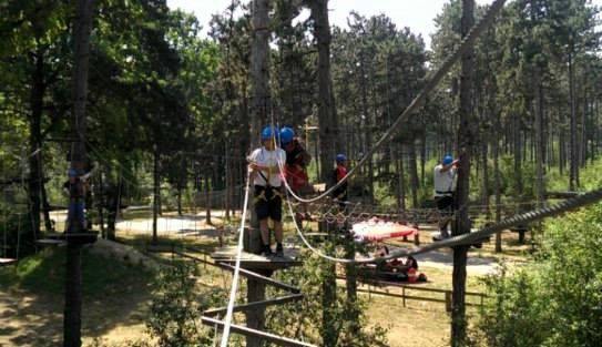 Ein Besucher verlor im Klettergarten in acht Metern Höhe das Bewusstsein und musste abgeseilt werden.