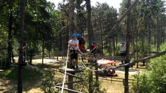 Ein Besucher verlor im Klettergarten in acht Metern Höhe das Bewusstsein und musste abgeseilt werden.