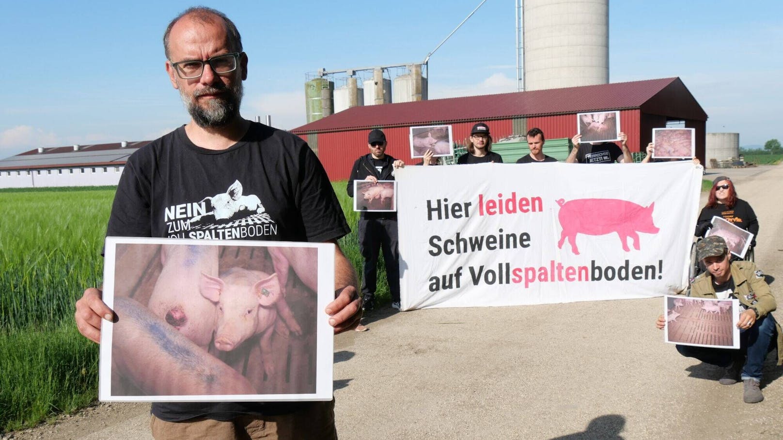 "Grauenhafte Zustände" in Schweinemastbetrieb regen auf