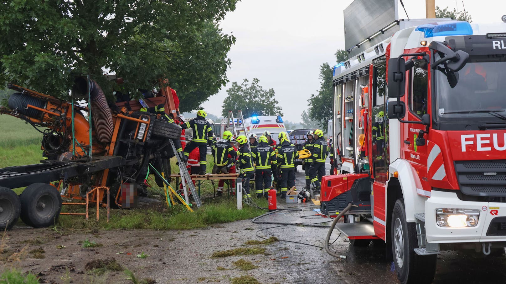 Lastwagen wickelt sich um Baum, Fahrer eingeklemmt