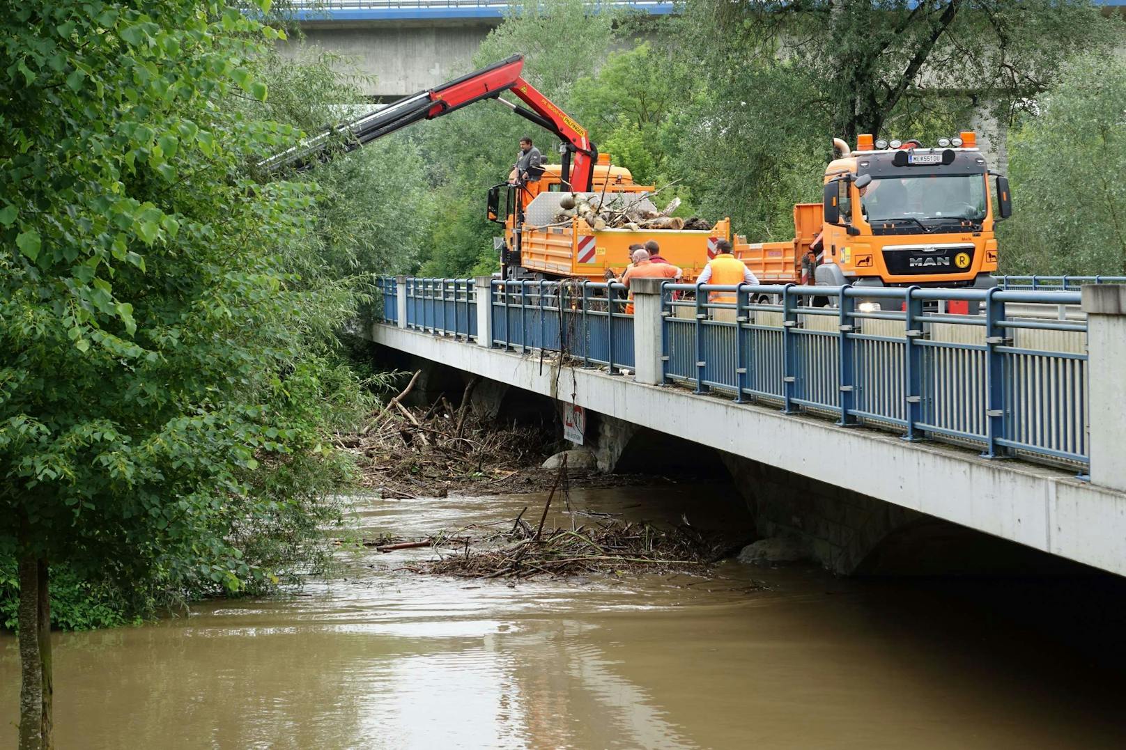 Im Bereich der Pielachbrücke kämpft die Brückenmeisterei seit Stunden mit einer massiven Verklausung.