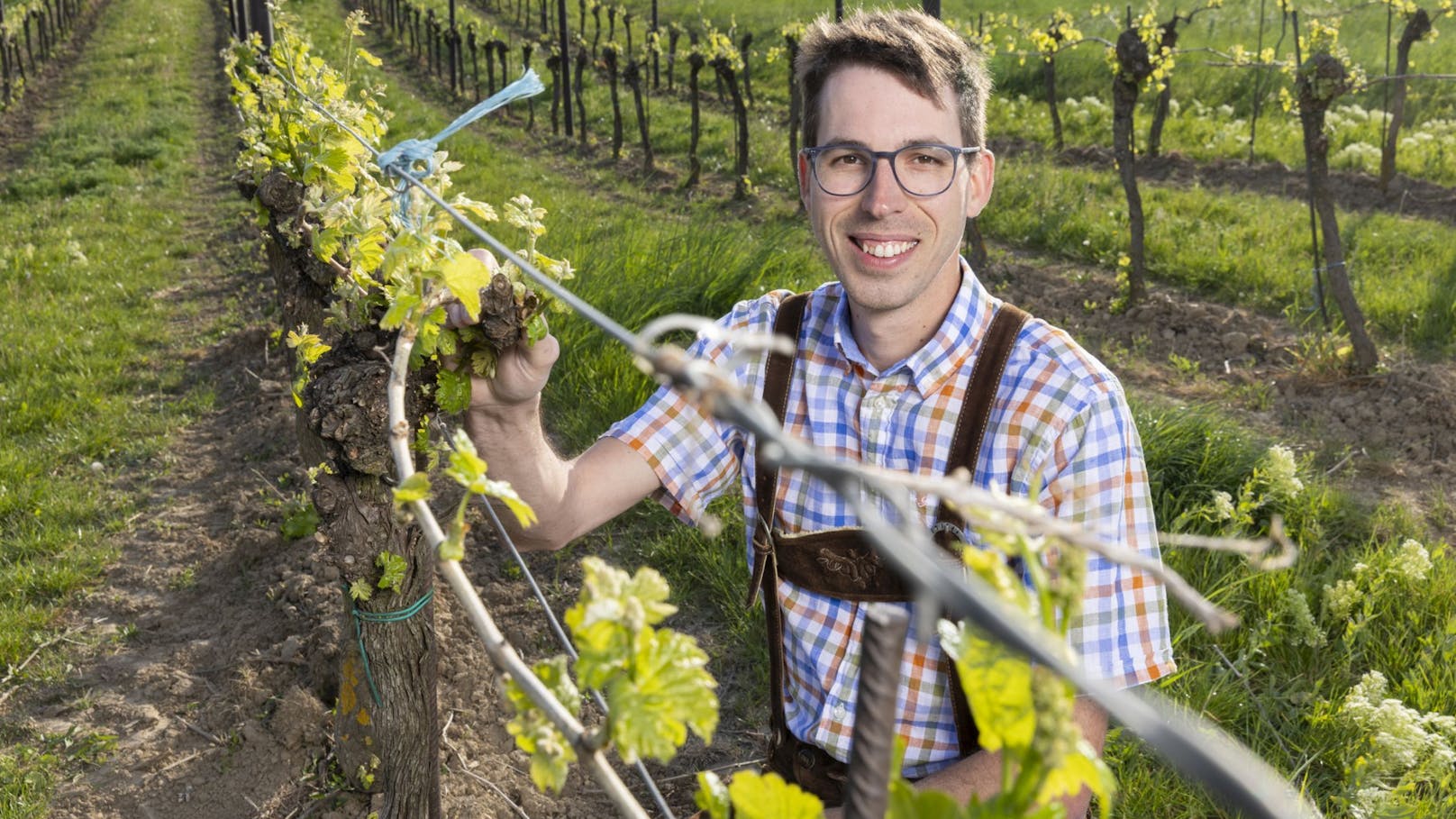 Alexander – der gelassene Weinviertler (31 Jahre) aus dem Bezirk Gänserndorf (Niederösterreich)