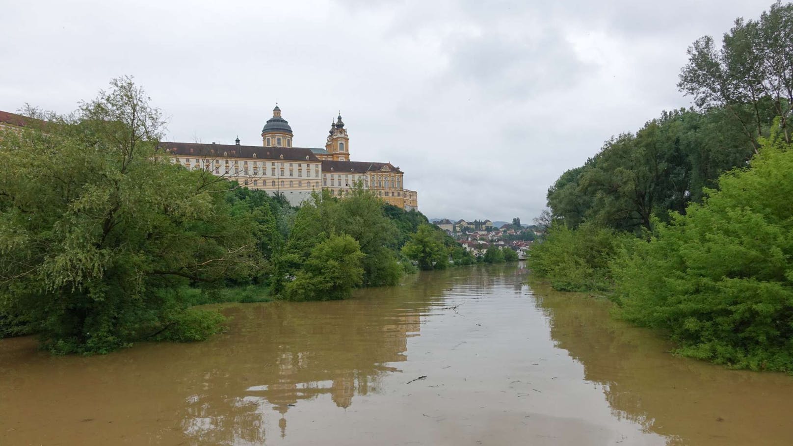 Auch der Donau-Altarm ist von den Wassermassen betroffen.