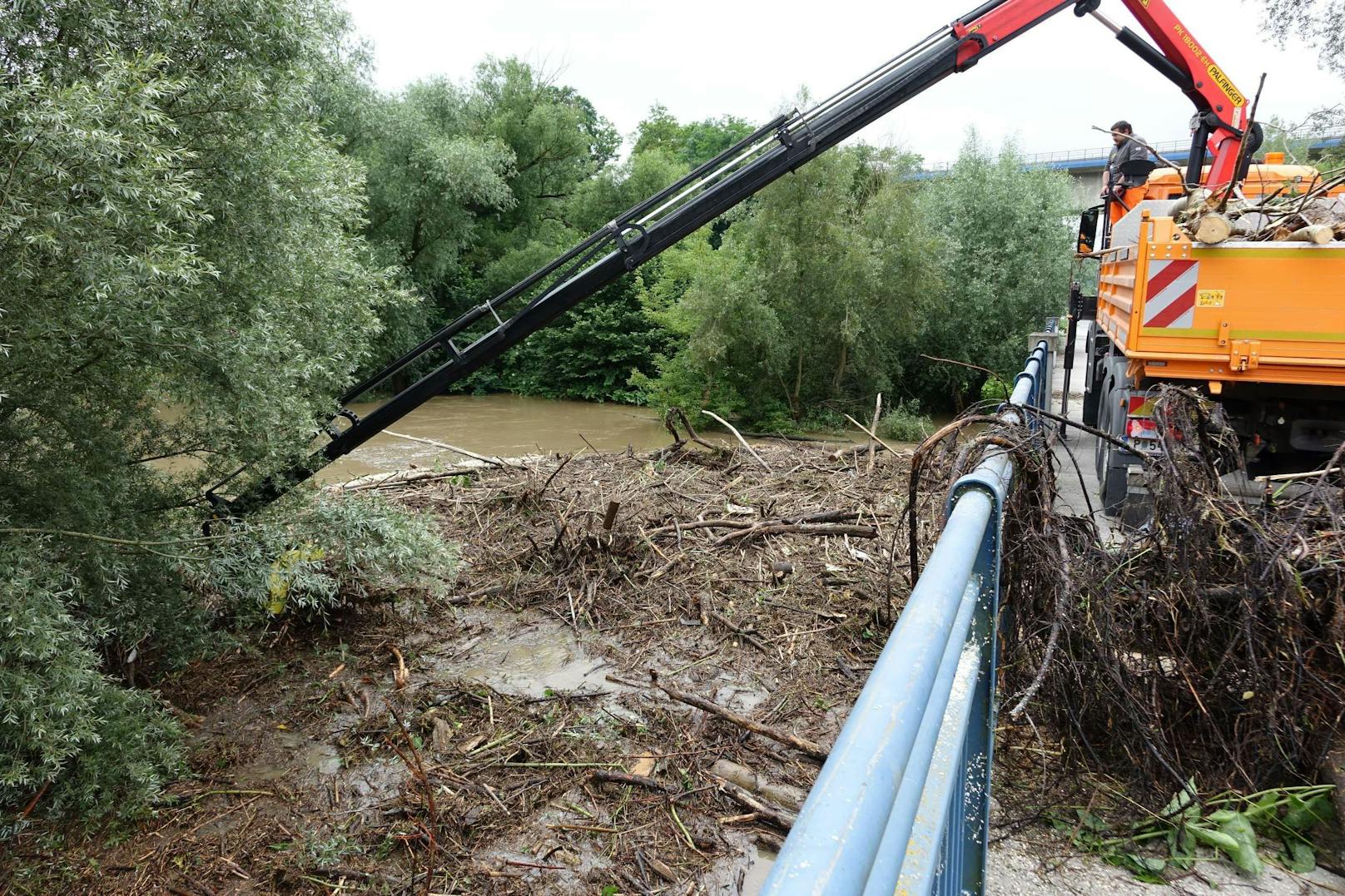 Im Bereich der Pielachbrücke kämpft die Brückenmeisterei seit Stunden mit einer massiven Verklausung.