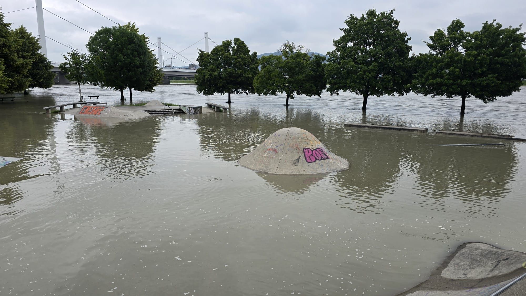 Ein Hochwasser überflutete zu Beginn des Sommers im Juni den beliebten Skatepark an der Donaulände in Linz.